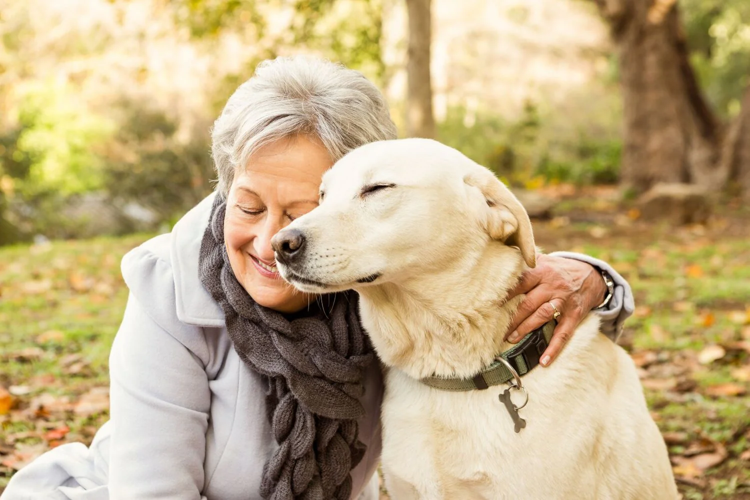 VetMedi: Redefining Modern Clinical Style