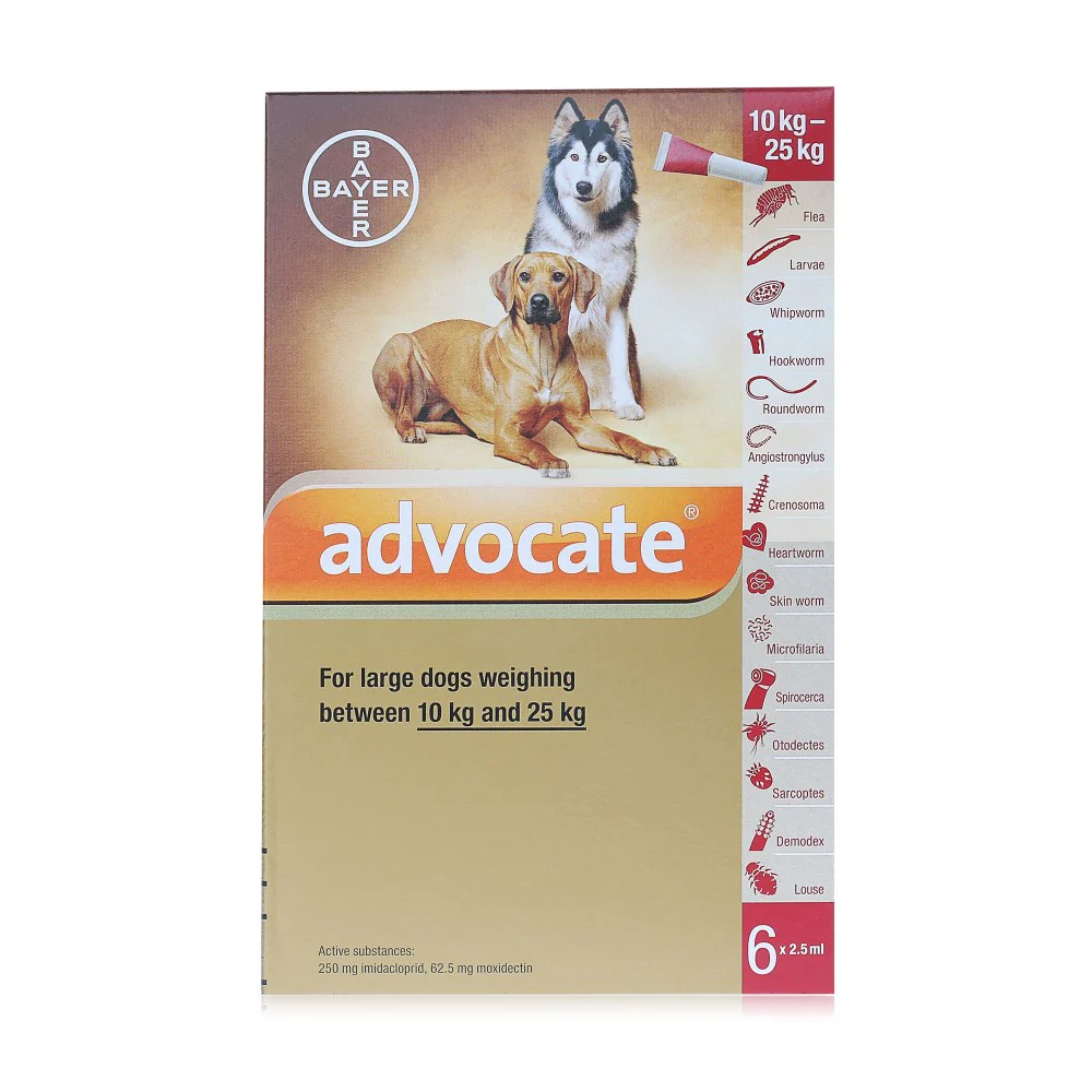 Advocate for Dogs 250 Spot On - Large Dogs 10-25kg