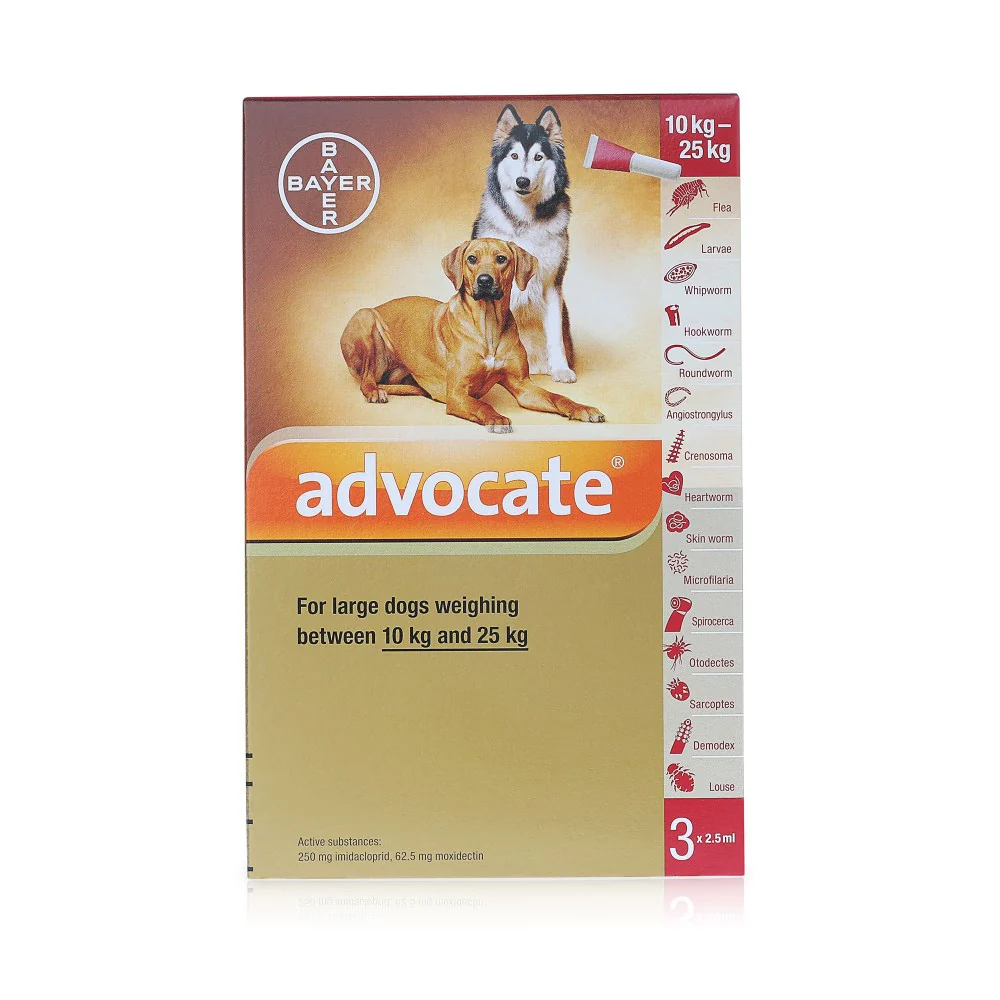 Advocate for Dogs 250 Spot On - Large Dogs 10-25kg - Image 2