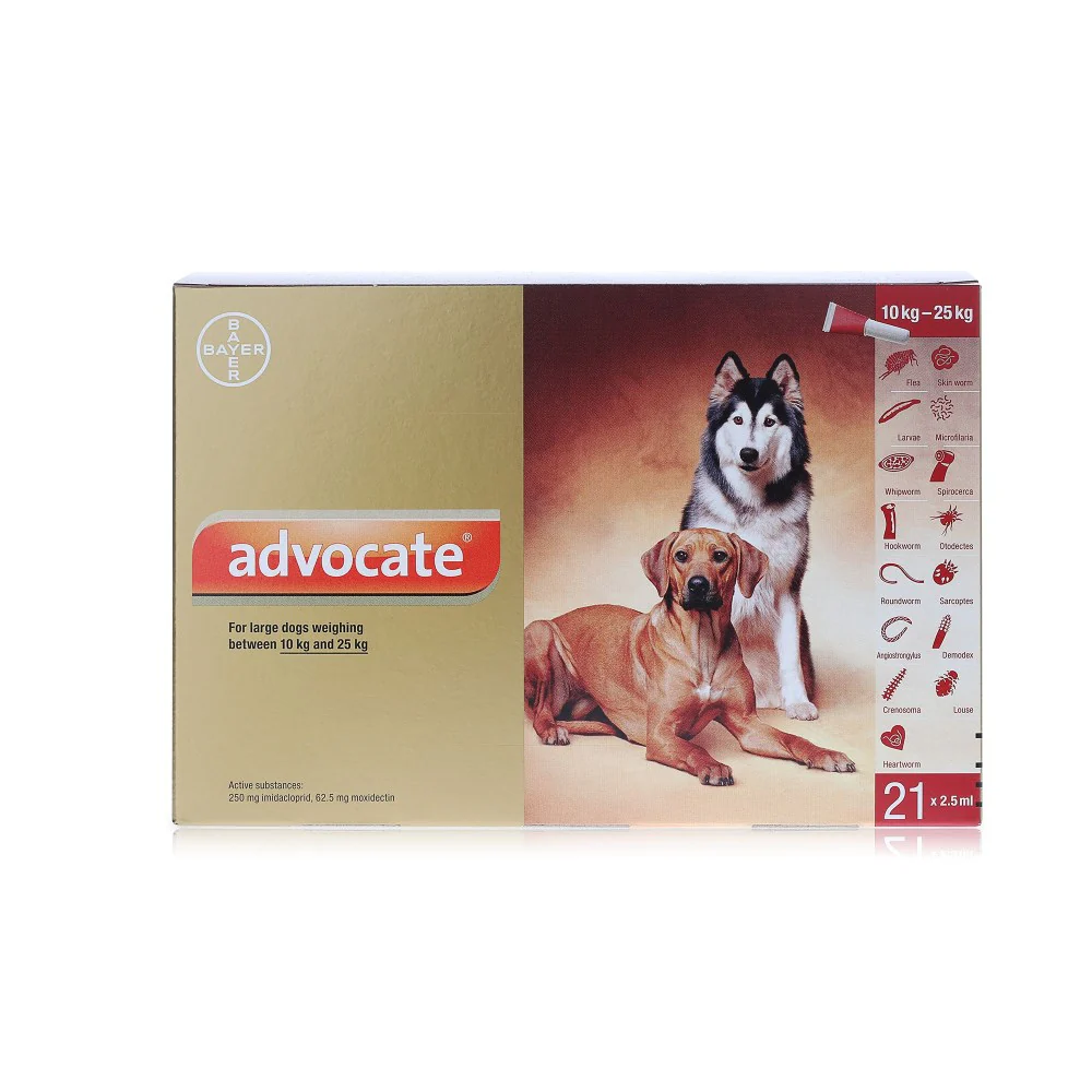 Advocate for Dogs 250 Spot On - Large Dogs 10-25kg - Image 3