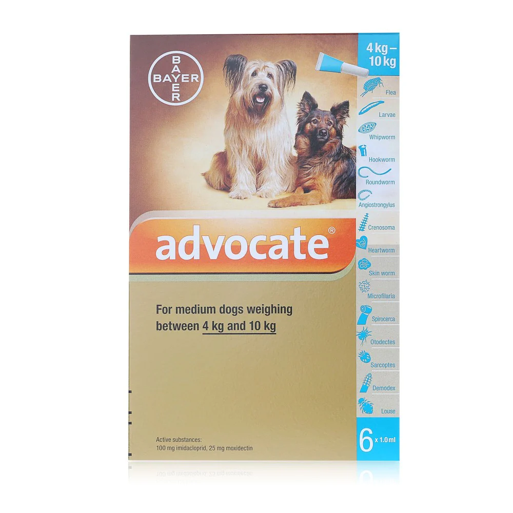 Advocate for Dogs 100 Spot On - Medium Dogs 4-10kg - Image 2