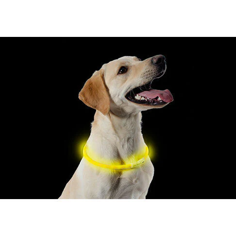 Ancol Light Up USB Rechargeable Flashing Dog Collar - One Size - 8"-27" (20cm-70cm)