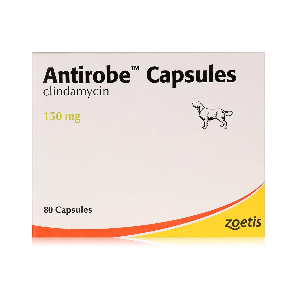 Antirobe Capsules (per tablet) - Image 2