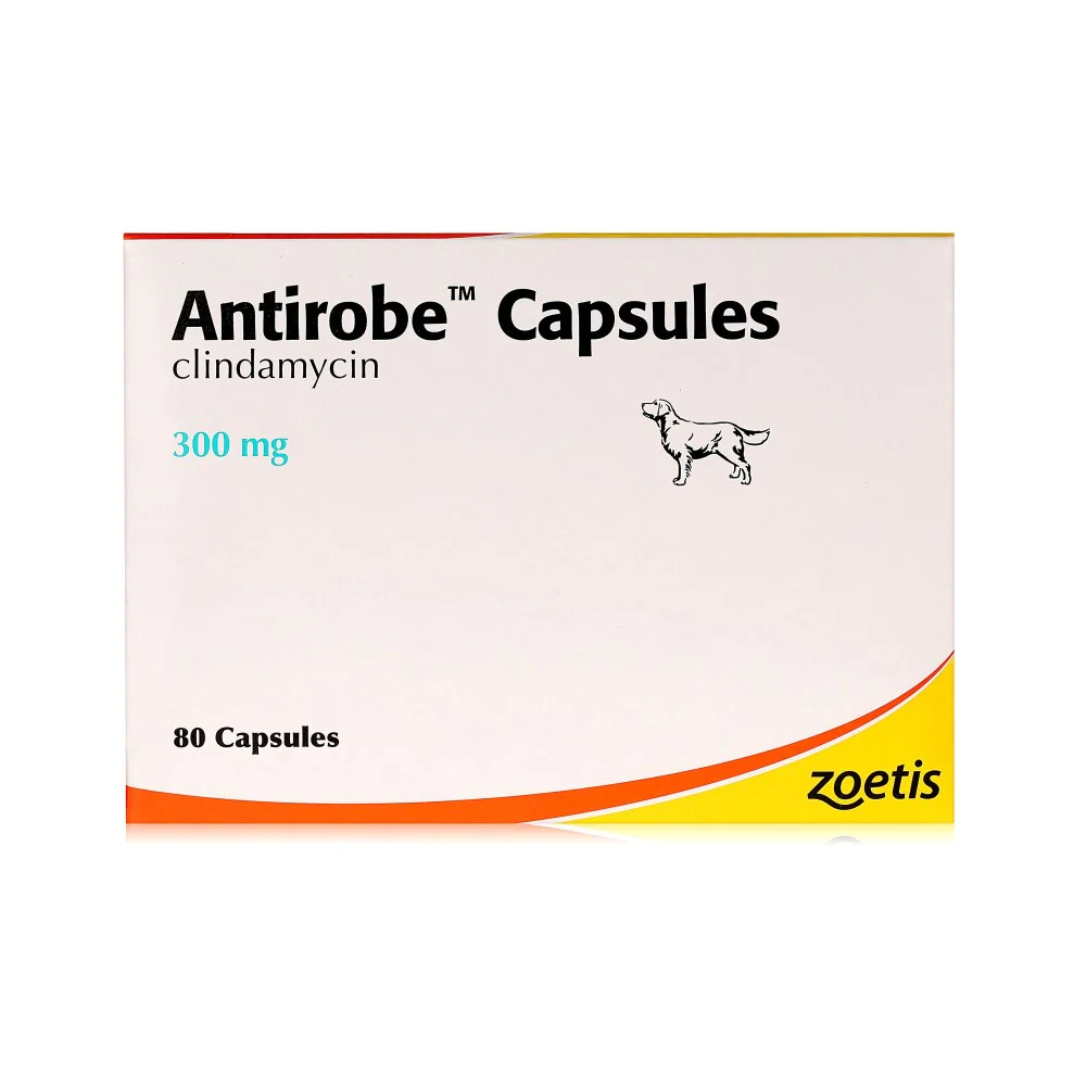 Antirobe Capsules (per tablet) - Image 3