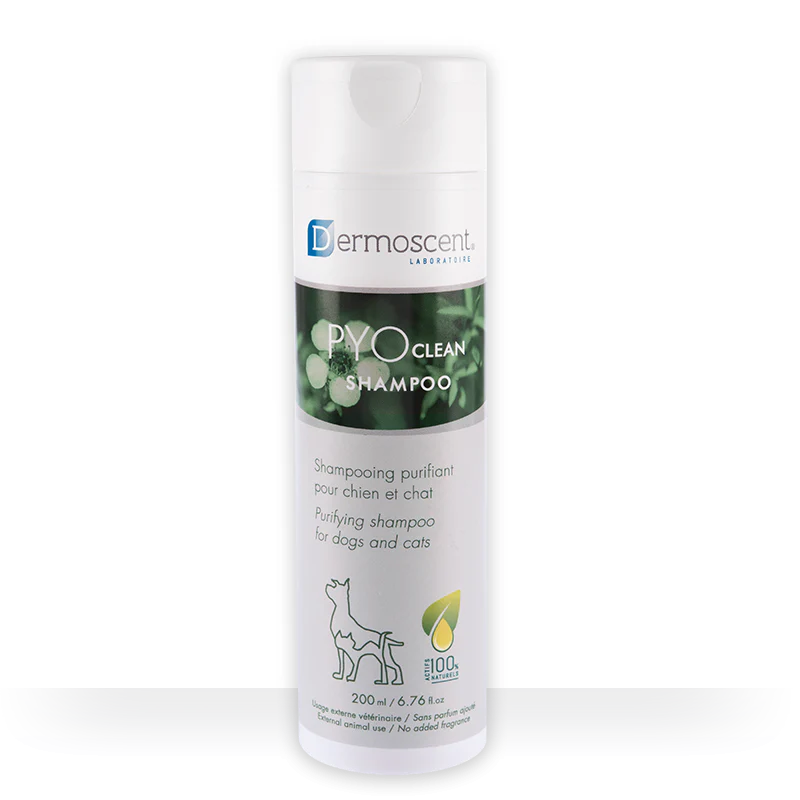 Dermoscent PyoClean Shampoo For Dogs & Cats 200ml