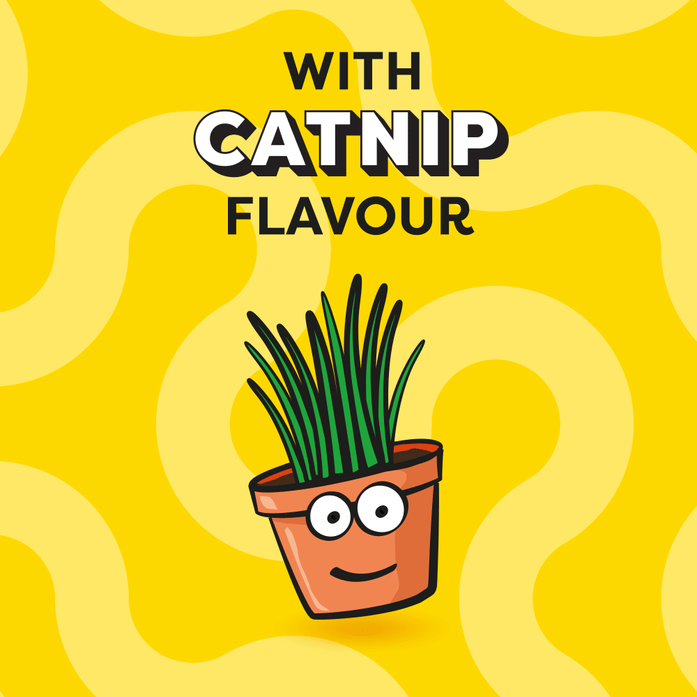 Dreamies Cat Treats with Catnip 60g - Image 4