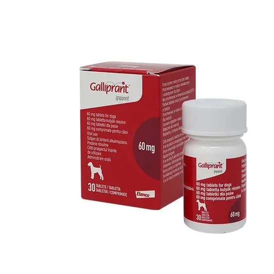 Galliprant Tablets for Dogs - Image 4