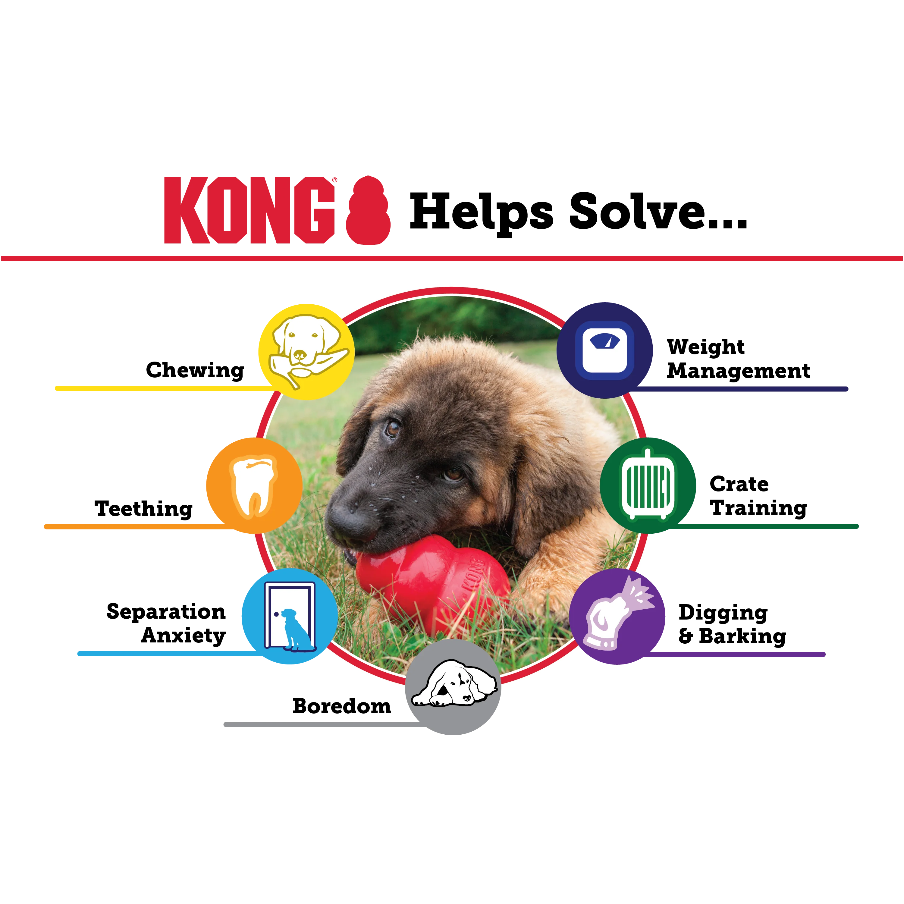 Kong Classic - Image 3