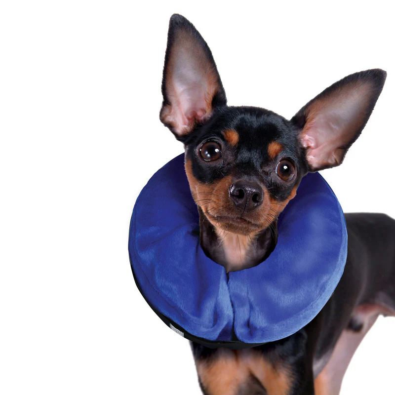 Kong Cloud Inflatable Collar - Image 2