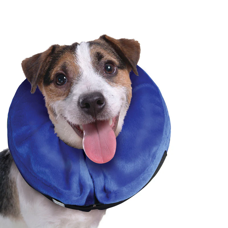 Kong Cloud Inflatable Collar - Image 3