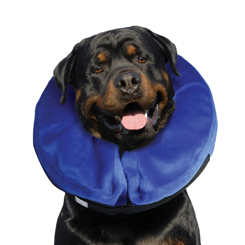 Kong Cloud Inflatable Collar - Image 4