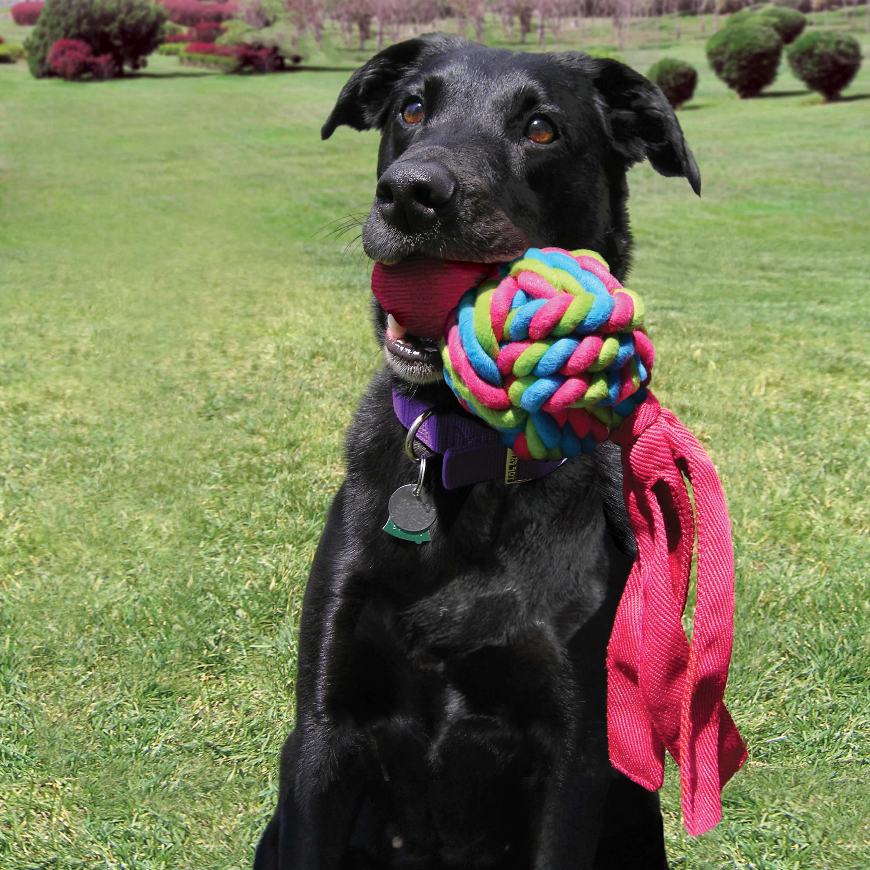 Kong Wubba Weaves - Image 3