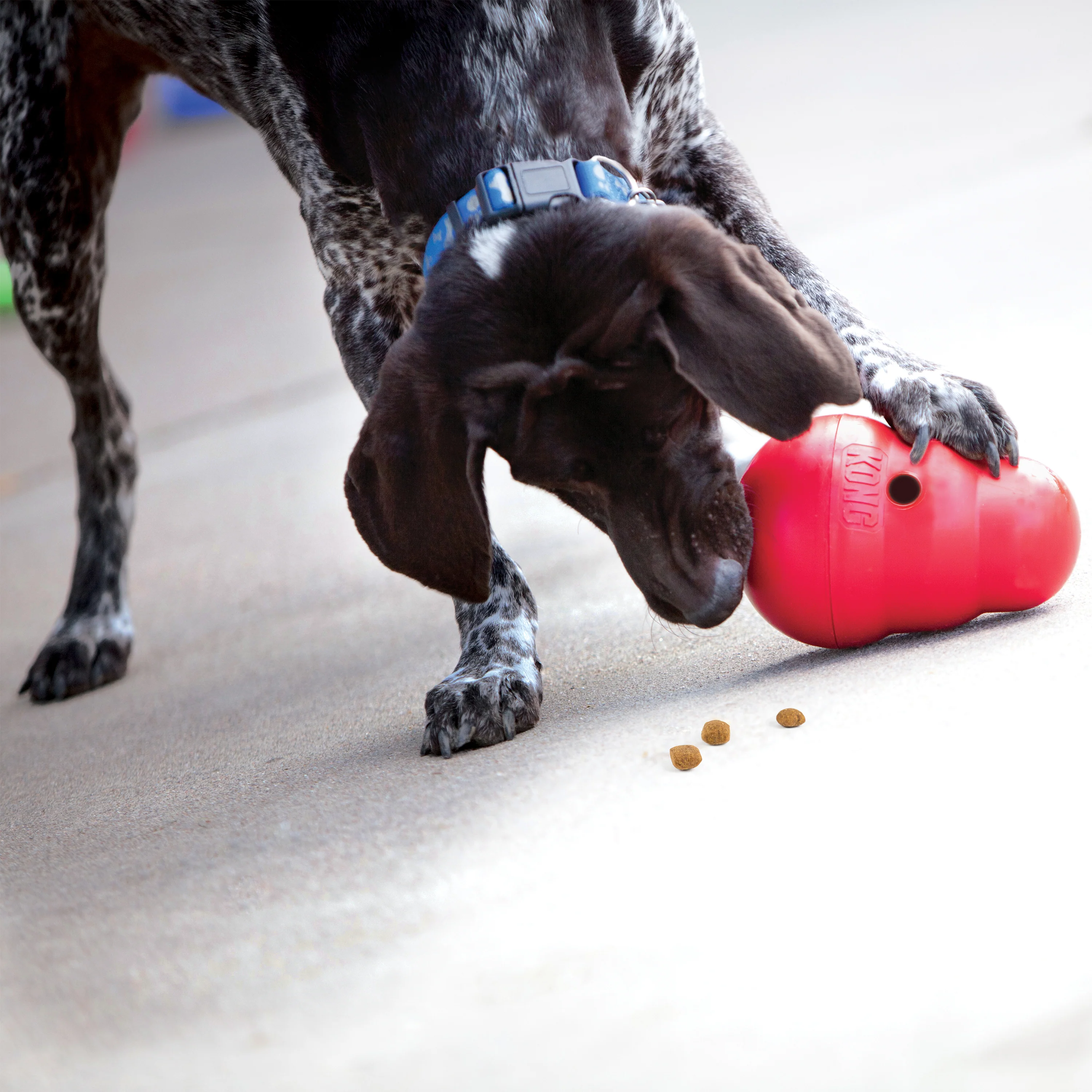 Kong Wobbler Toy - Image 3