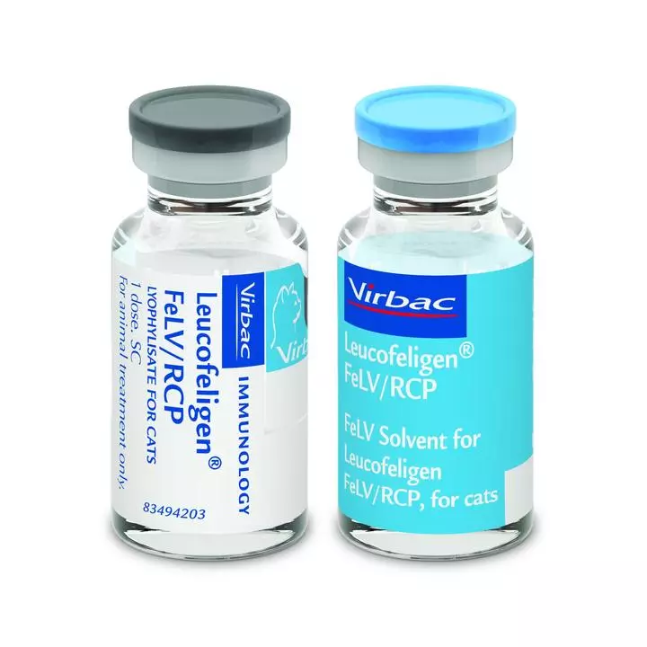 Leucofeligen FeLV/RCP - Image 2