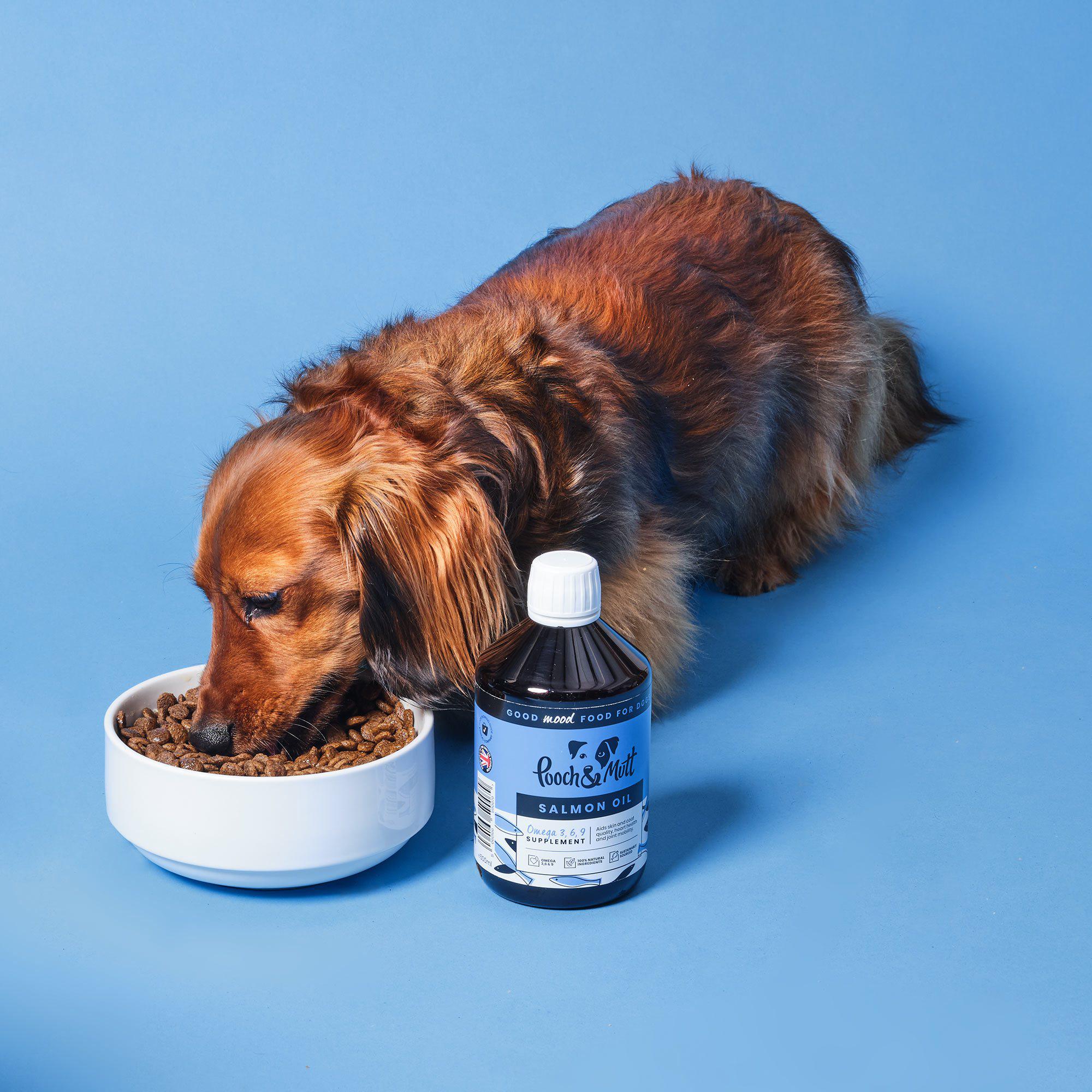Pooch & Mutt Salmon Oil Omega Supplement for Dogs 500ml - Image 2
