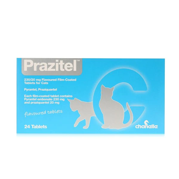 Prazitel Cat - Image 3