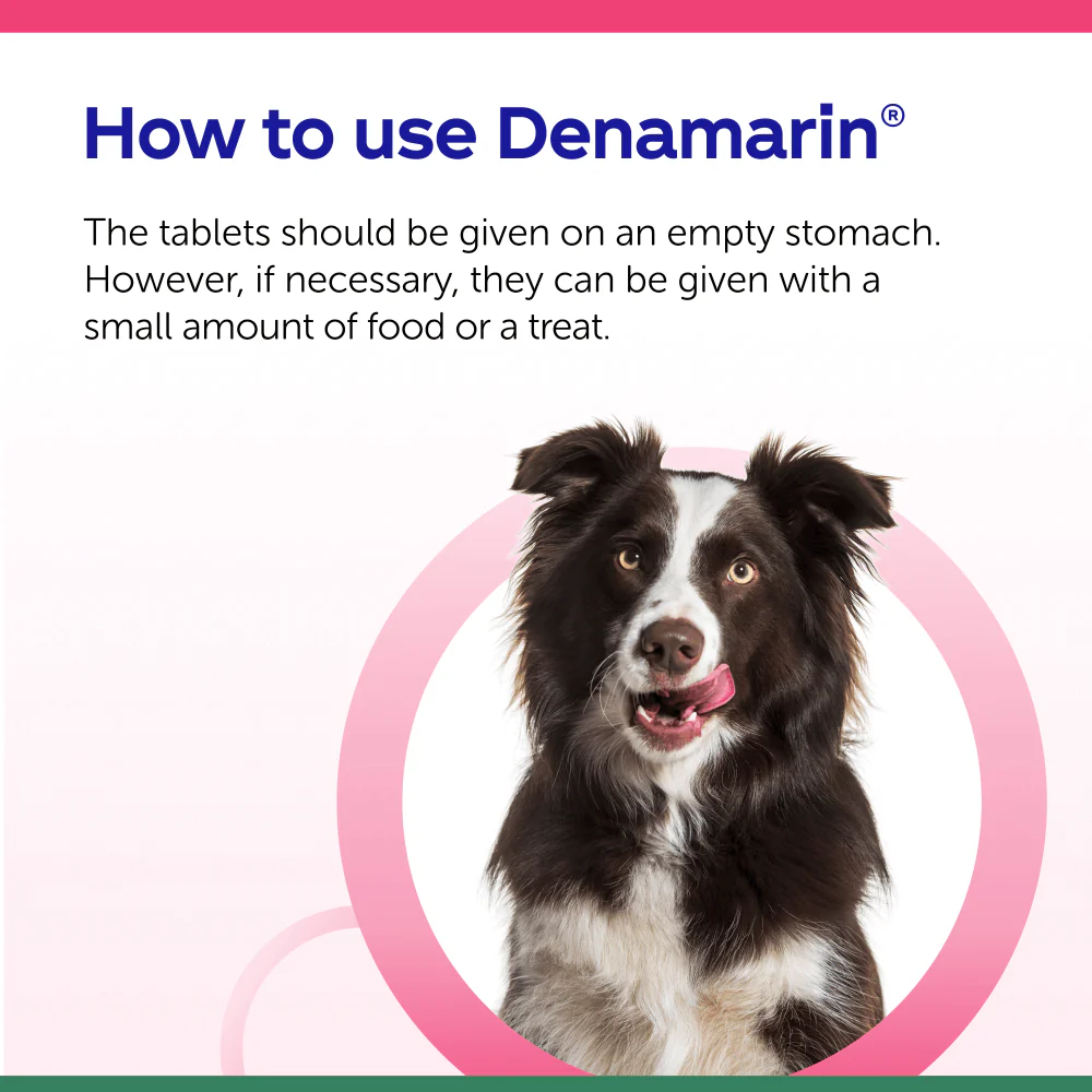 Protexin Denamarin Advanced Tablets for Dogs x 30 - Image 3