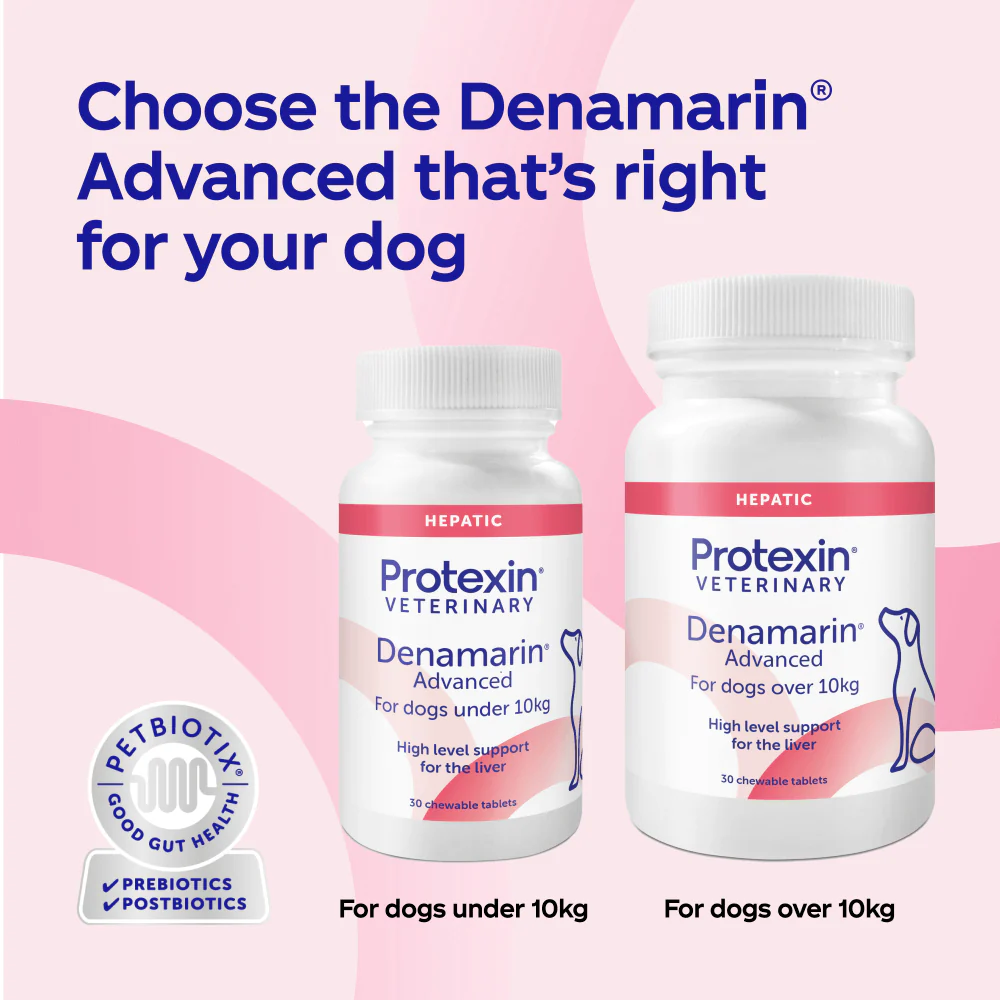 Protexin Denamarin Advanced Tablets for Dogs x 30 - Image 5