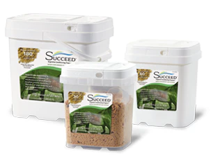 Succeed Digestive Conditioning Program for Horses - Image 3