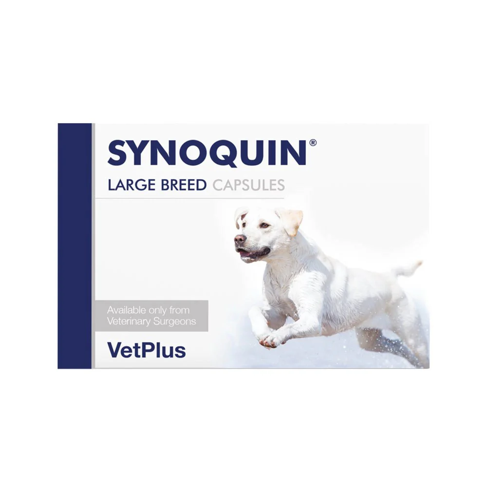 Synoquin for Dogs Large Breed x 120 - Image 3